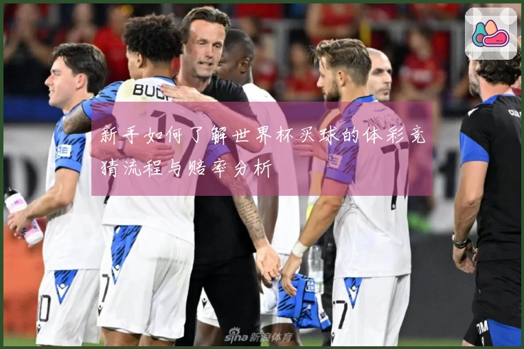 新手如何了解世界杯买球的体彩竞猜流程与赔率分析