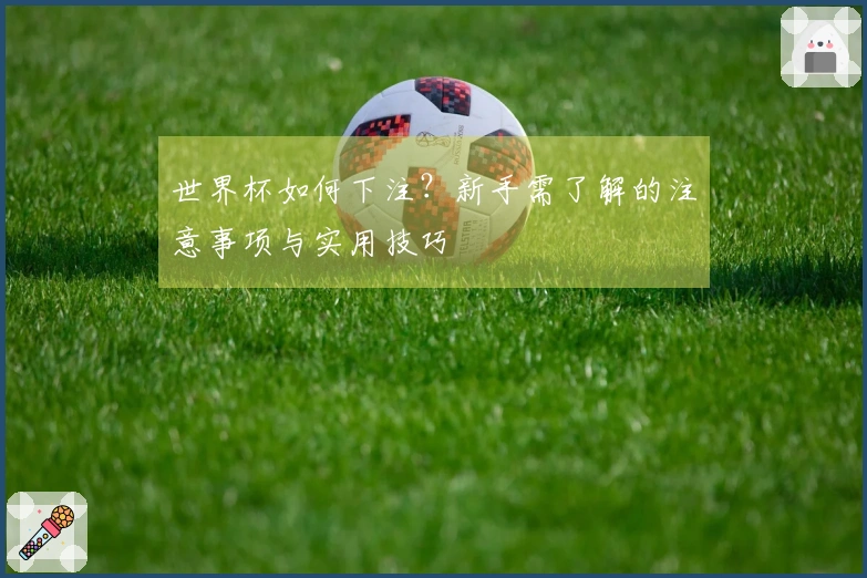 世界杯如何下注？新手需了解的注意事项与实用技巧