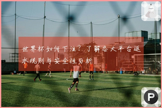世界杯如何下注？了解各大平台返水规则与安全性分析