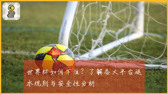 世界杯如何下注?了解各大平台返水规则与安全性分析